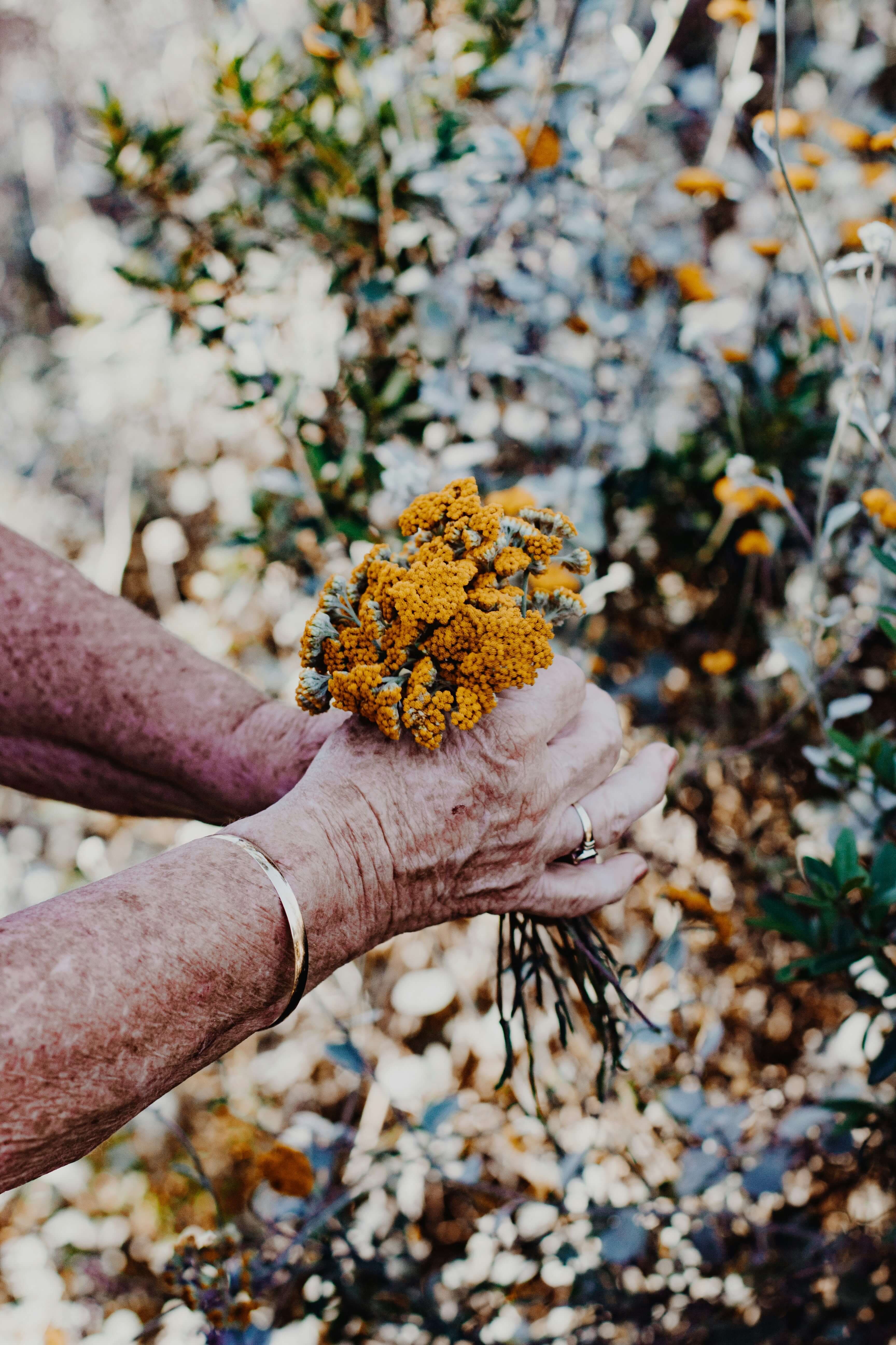 senior gardening